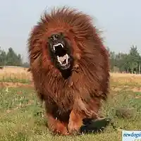 Picture for song 'open your mouth' by artist 'Art Official and SoulForce Entertainment'