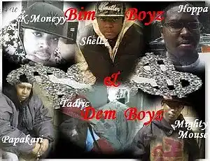Picture for song 'Dreaming (on the drop leaf riddim)' by artist 'Bim Boyz'