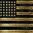 Picture for song 'American Dream' by artist 'Dj Cooley Music'