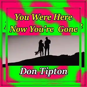 Picture for song 'You Were Here Now Youre Gone' by artist 'Don Tipton'
