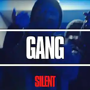 Picture for song '"GANG" Lucii X Tzgwala Type Beat' by artist 'Silent The Producer'
