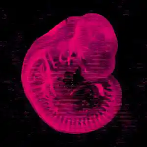 Picture for song 'MAGNETS' by artist 'someP'