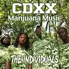 Picture for song 'WEEDHEADS LOVE US feat. The STNR, THC & Skunkee Br' by artist 'THE INDIVIDUALS'