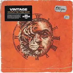 Picture for song 'Vintage' by artist 'BITODELNYA'