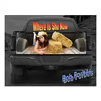 Picture for song 'Wher Is She Now' by artist 'Bob Forbes'