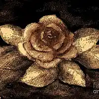 Picture for song 'Rose Gold' by artist 'Fantastic Mr Loxs'