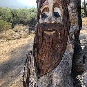 Picture for song 'Live Oak, Coastal' by artist 'Gagmesharkoff'