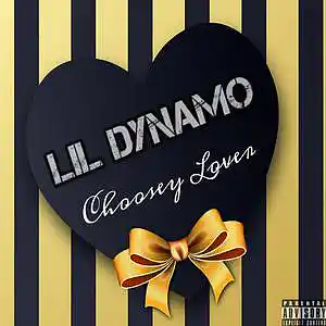 Picture for song 'Choosey Lover' by artist 'Lil Dynamo'