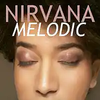 Picture for song 'NIRVANA' by artist 'Melodic (musician)'