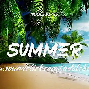 Picture for song 'Summer' by artist 'Ndole Beats'