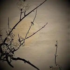Picture for song 'Mrs Jenny Mondlicht' by artist 'Salanje'