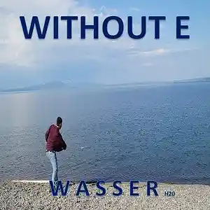 Picture for song 'WASSER' by artist 'WITHOUT E'