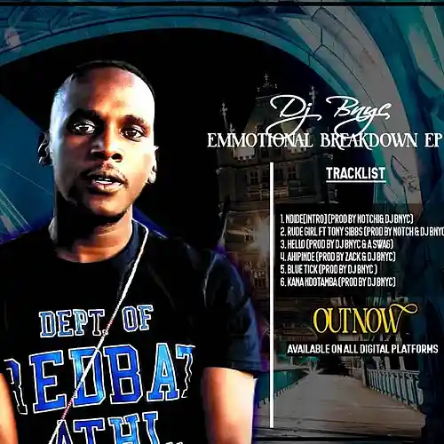 Picture for song 'Dj Bnyc AfroGuru-Blue Tick(Emotional Breakdown EP' by artist 'AfroGuru'