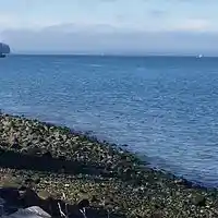 Picture for song 'Entanglements' by artist 'Anthony L Smith'