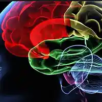 Picture for song 'Euphoria' by artist 'beatsByNK'