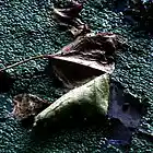 Picture for song 'SIX' by artist 'Doctor Slickshill'
