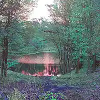 Picture for song 'A$HA' by artist 'george venison'