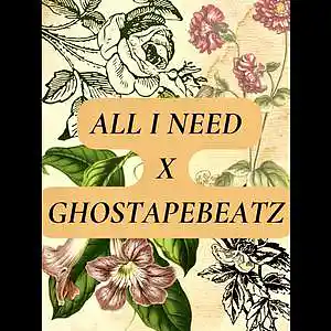 Picture for song 'ALL I NEED X GHOSTAPEBEATZ' by artist 'Ghostapebeatz'