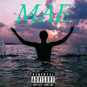 Picture for song 'Crazy' by artist 'Gunster'