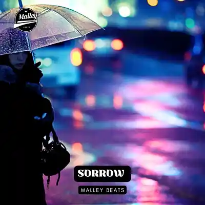 Picture for song 'SORROW [JELLY ROLL X STRUGGLE JENNINGS TYPE BEAT]' by artist 'Malley Beats'