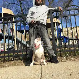 Picture for song 'China Town' by artist 'NS FLOJO'