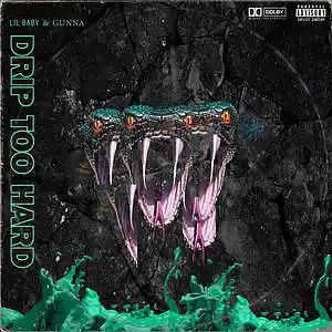 Picture for song 'DRIP TOO HARD ($1.OO DOWNLOAD)' by artist 'STL TRIGGA'