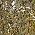 Picture for song 'Season of Doom' by artist 'Wolfini'