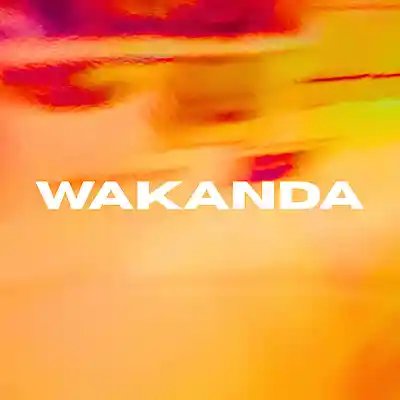 Picture for song '"WAKANDA" - Rema Type Beat / Afrobeat 2025' by artist 'Biqueira Beatz'