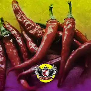 Picture for song 'Chili (Iann Dior Bernard Jabs Type Beat)' by artist 'Chorderline'