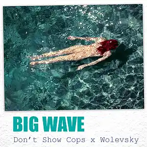 Picture for song 'DON'T SHOW COPS x Wolevsky - Big Wave' by artist 'DON'T SHOW COPS BEATS'