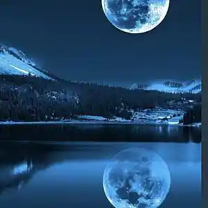 cover pic