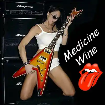Song picture of 'Medicine Wine'