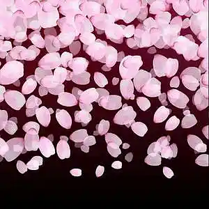 Picture for song 'Falling Petals' by artist 'KowaBunga'