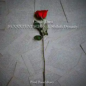 Picture for song 'Vice City (Instrumental)' by artist 'Prod.RandyKaey'