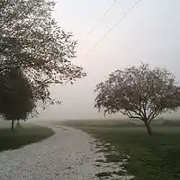 Picture for song 'Gluten Free' by artist 'Sam Crain'