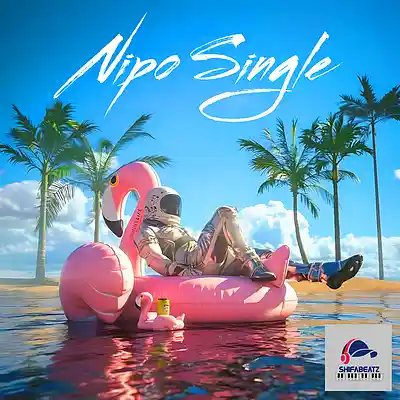Picture for song 'Dayoo Feat Ibraah - Nipo Single (Type Beat)' by artist 'Shifabeatz'