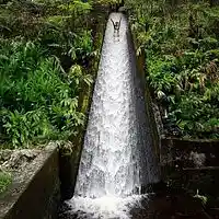 Picture for song 'Waterslide Of Love' by artist 'Bevs New World'