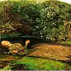 Picture for song 'Autumn Leaves on the Fly W/ David Briggs' by artist 'Carlo D'Anna'