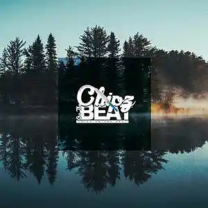 Picture for song '"Reflections" *SOLD*' by artist 'Chipz On The Beat'