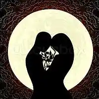Picture for song 'Perfect Words' by artist 'Farrell jackson'