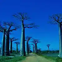 Picture for song 'The Love in You (final cut)' by artist 'Gdubl'