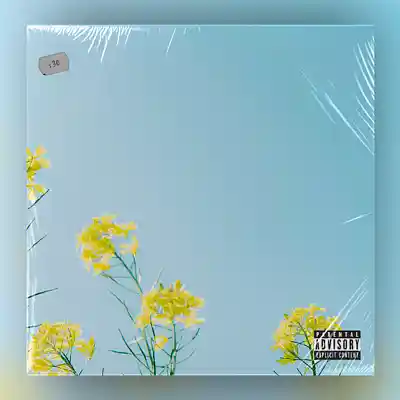 Picture for song '"Fresh Petals" - Chill jazzy J Dilla type beat' by artist 'Matt Shi'