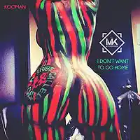 Picture for song 'I Don't Want To Go Home ' by artist 'Mr.Kooman'