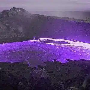 Picture for song 'top of the world - playboi carti type beat' by artist 'prod.allyd'