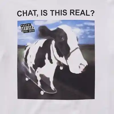 Picture for song 'Chat, Is This Real?' by artist 'Sasa Lele'