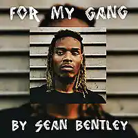 Picture for song 'For My Gang *New* HIT (Free DL)' by artist 'Sean Bentley'