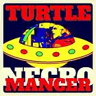 Picture for song 'Sighing Flossers' by artist 'Turtle Necromancer'