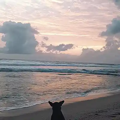 Picture for song 'Waves' by artist 'Wonnagoot'