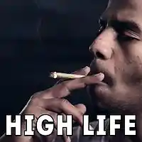 Picture for song 'High Life***SMOOTH WEED SMOKING RAP BEAT***FREE DL' by artist 'Kannibal Beats'