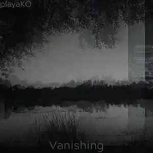 Picture for song 'Vanishing' by artist 'playaKO'